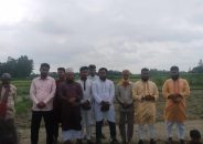 নাগরপুরে প্রশংসনীয় উদ্যোগ: রাস্তা নির্মাণে এলাকাবাসীর পাশে ছাত্রশিবির
