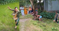 টাঙ্গাইলের ভূঞাপুর ভূমি অফিসের কর্মচারী শাজাহানের বিরুদ্ধে অভিযোগ