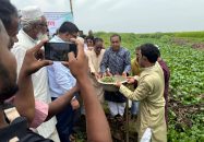 টাঙ্গাইলের কালিহাতীতে খাল খনন শুরু
