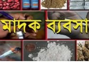 কালিহাতীর আউলিয়াবাদে  মাদকের জমজমাট ব্যবসা