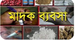 কালিহাতীর আউলিয়াবাদে  মাদকের জমজমাট ব্যবসা