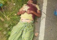 টাঙ্গাইলের কালিহাতীতে ট্রাকের ধাক্কায় সাইকেল আরোহী নিহত