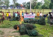 কালিহাতীর তল্লাই বিলে অভিযান।। ১৩শ মিটার চায়না জাল জব্দ